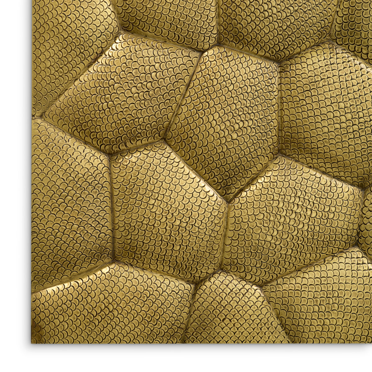 Snakeskin Wall Object Maximus