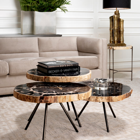 Petrified Coffee Table (3) De Soto | Cabothousefurniture.com