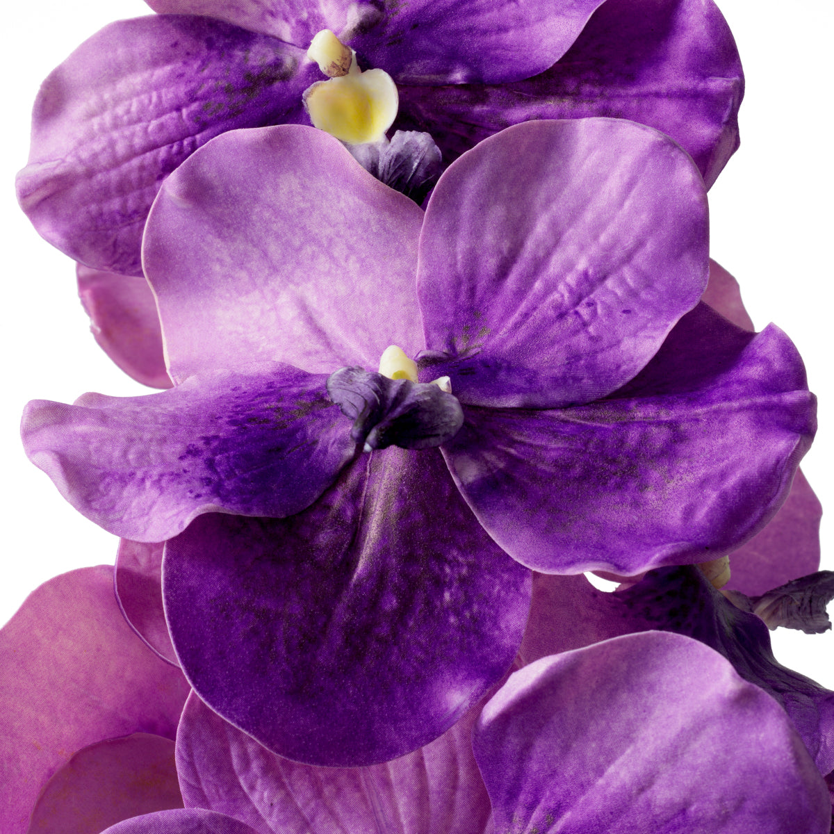 Bouquet of Artificial Flowers (24pcs) Vanda Orchids | Cabothousefurniture.com