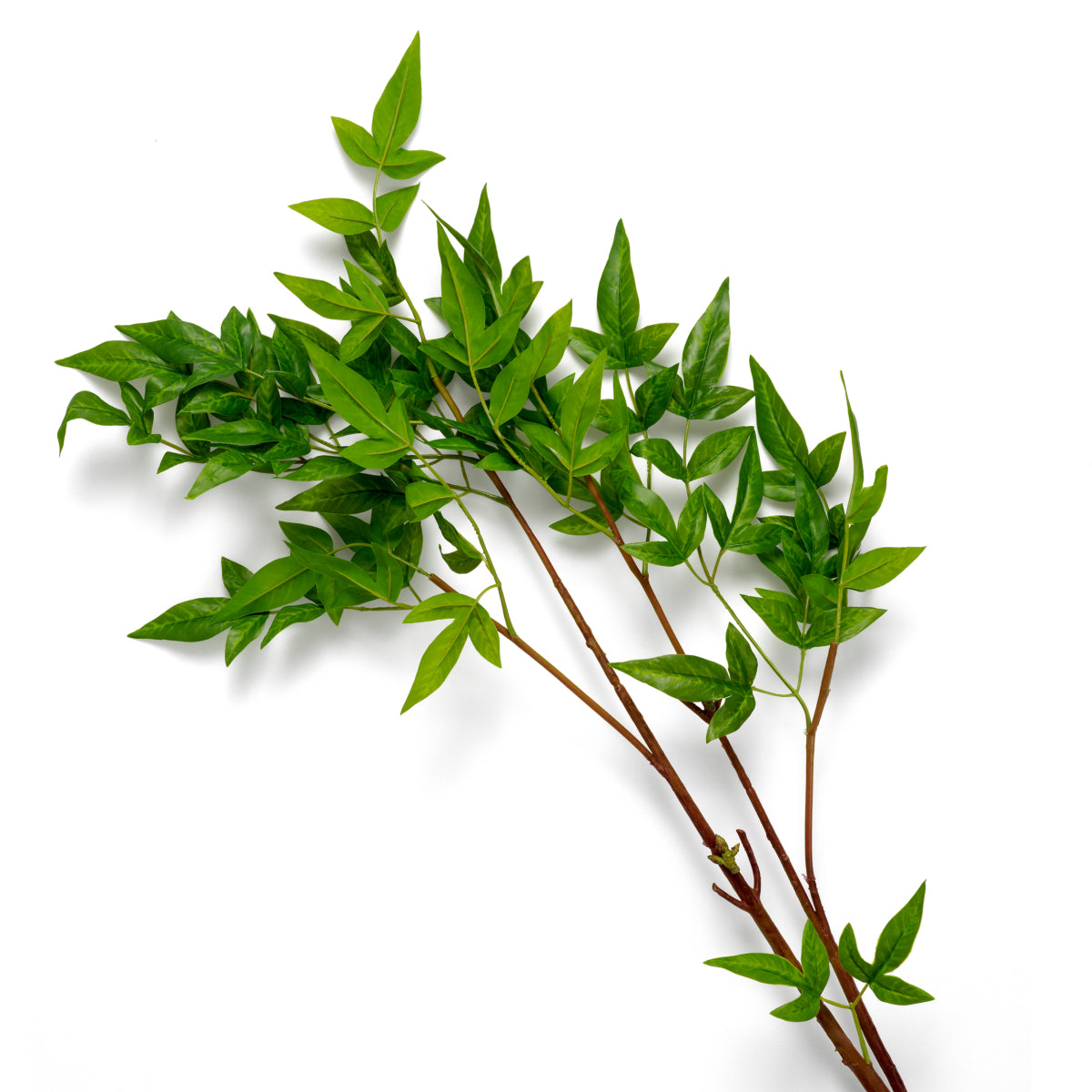 Artificial Green Bundle (36pcs) Tender Leaves | Cabothousefurniture.com