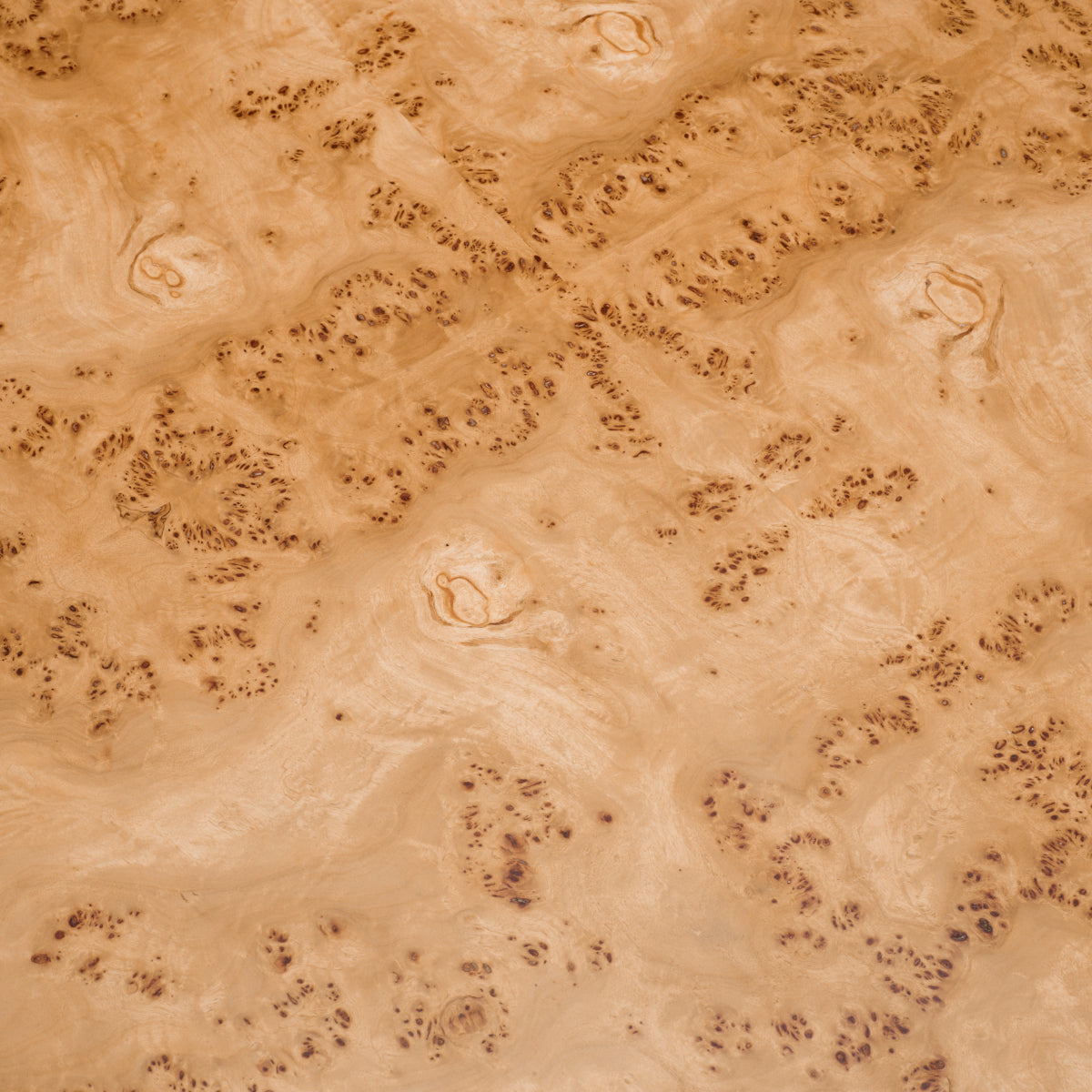 Mappa Burl Coffee Table (3) Quinton