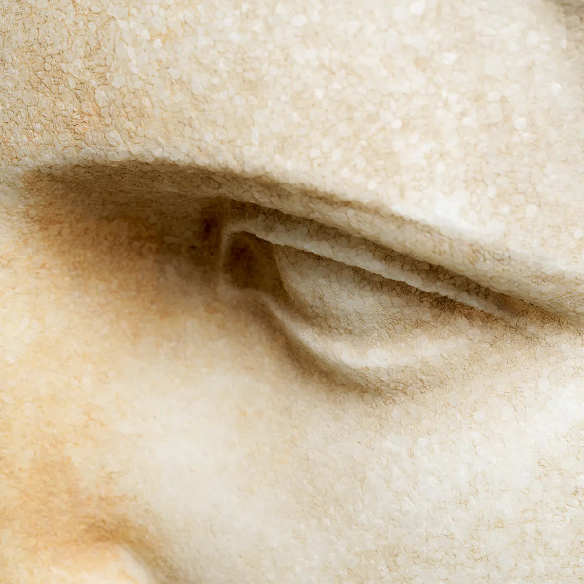 Roman Head Sculpture Bust of a Youth | Cabothousefurniture.com