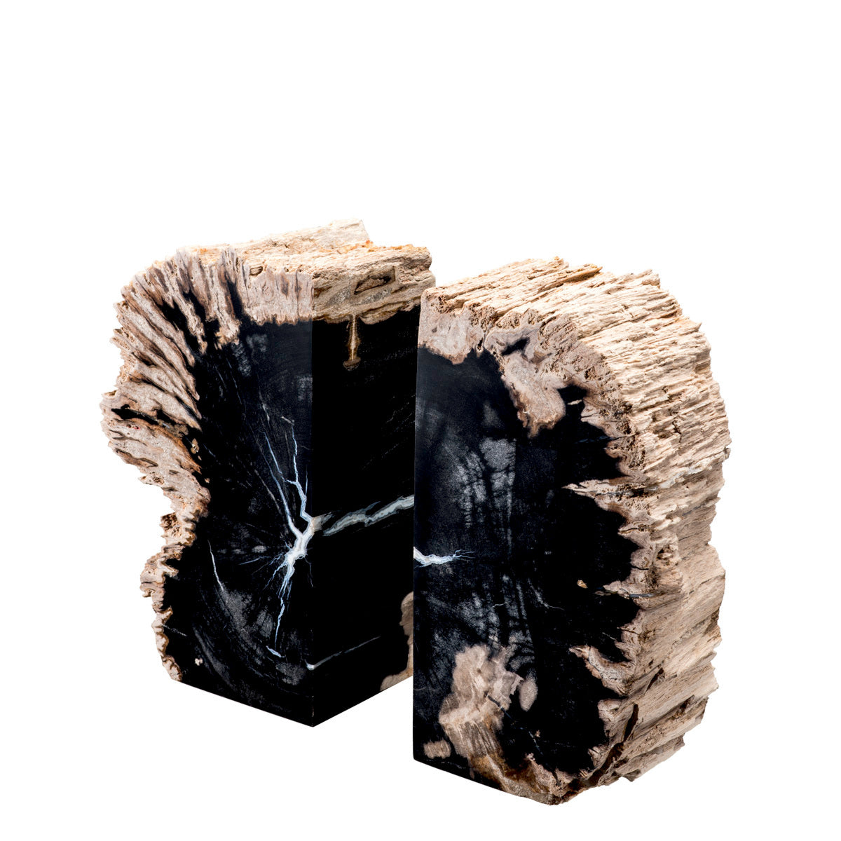 Petrified Wood Bookends (2) Opia | Cabothousefurniture.com