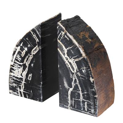Petrified Wood Bookends (2) Opia | Cabothousefurniture.com