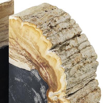 Petrified Wood Bookends (2) Opia | Cabothousefurniture.com