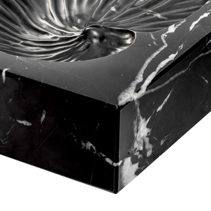 Black Marble Shell Fossil Conchiglia | Cabothousefurniture.com