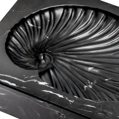 Black Marble Shell Fossil Conchiglia | Cabothousefurniture.com
