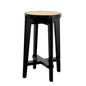 Dareau Counter Stool