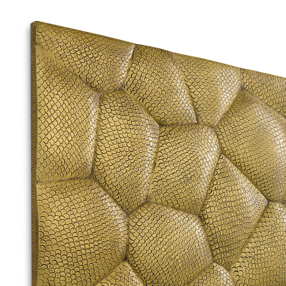 Snakeskin Wall Object Maximus