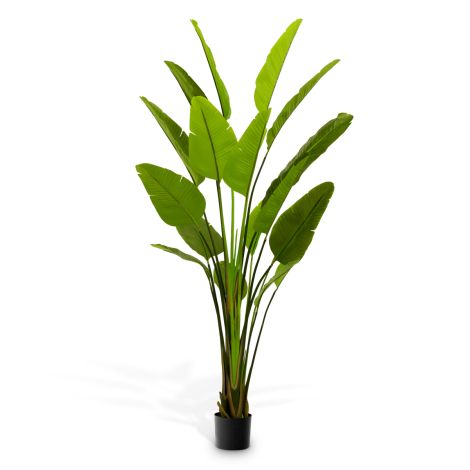 Green Artificial Plant Strelitzia | Cabothousefurniture.com