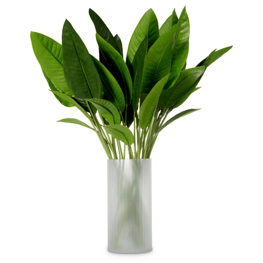 Green Leaves (36) Strelitzia| Cabothousefurniture.com