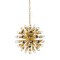 Anto S Chandelier