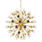 Anto L Chandelier