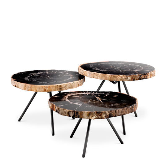 Petrified Coffee Table (3) De Soto | Cabothousefurniture.com