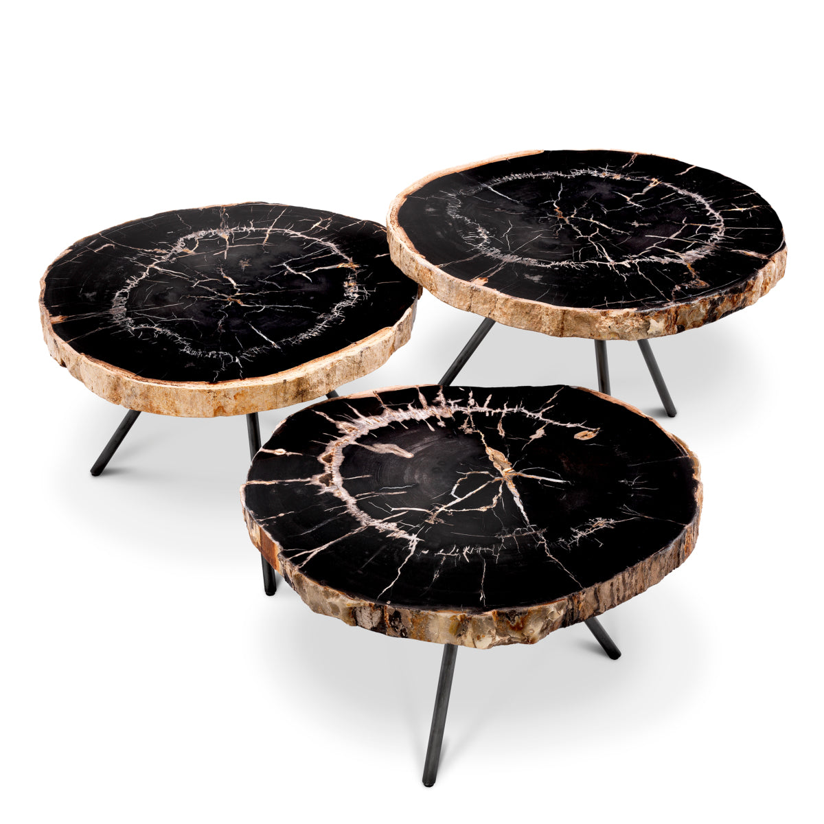 Petrified Coffee Table (3) De Soto | Cabothousefurniture.com