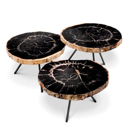 Petrified Coffee Table (3) De Soto | Cabothousefurniture.com