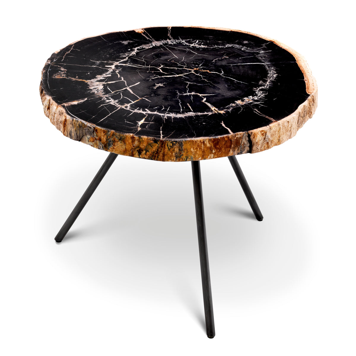 Petrified Coffee Table (3) De Soto | Cabothousefurniture.com