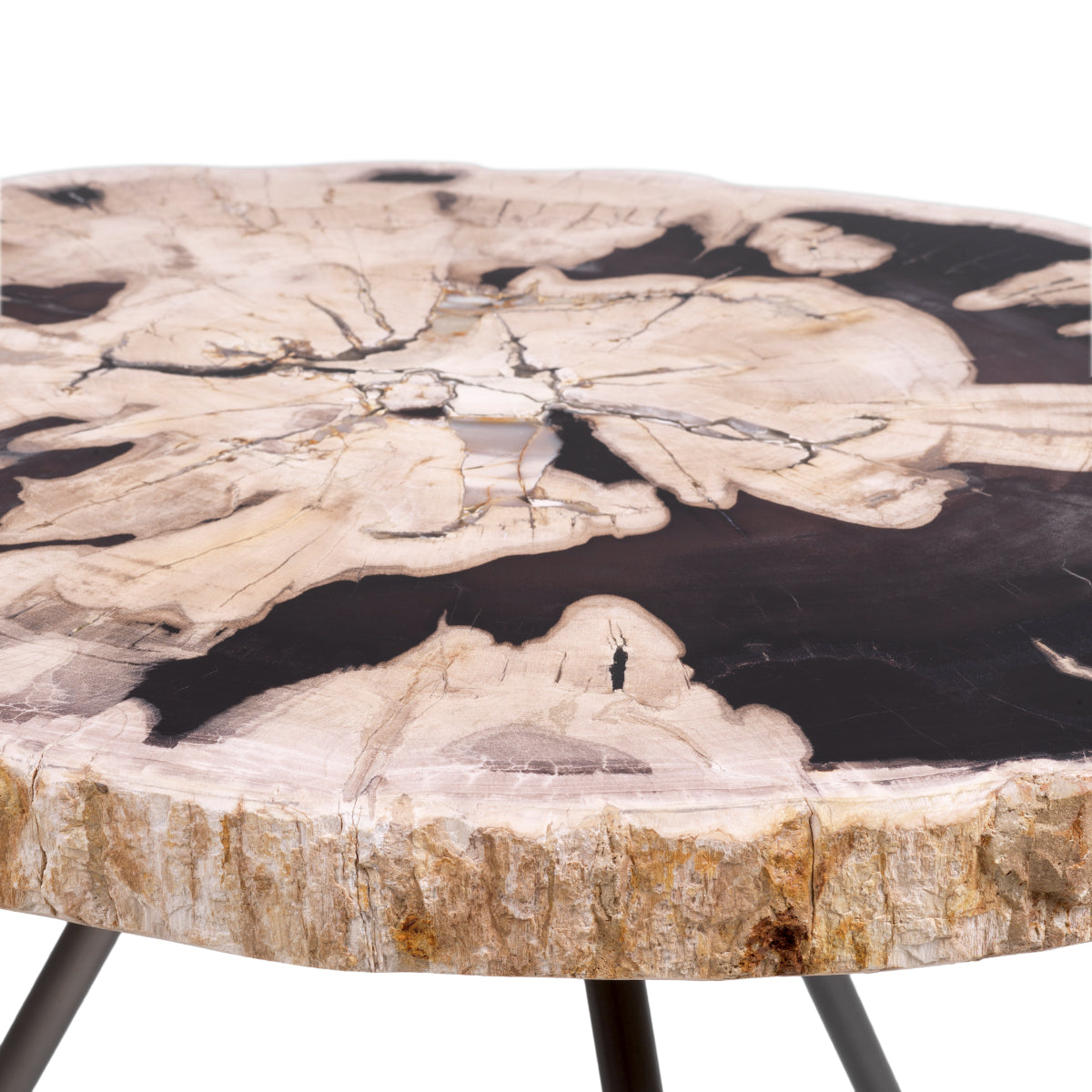 Petrified Coffee Table (3) De Soto | Cabothousefurniture.com