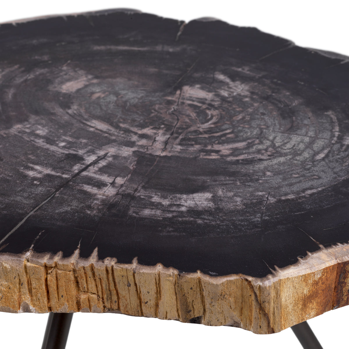 Petrified Coffee Table (3) De Soto | Cabothousefurniture.com