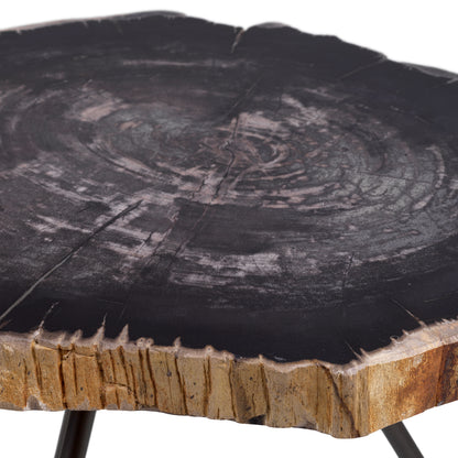 Petrified Coffee Table (3) De Soto | Cabothousefurniture.com