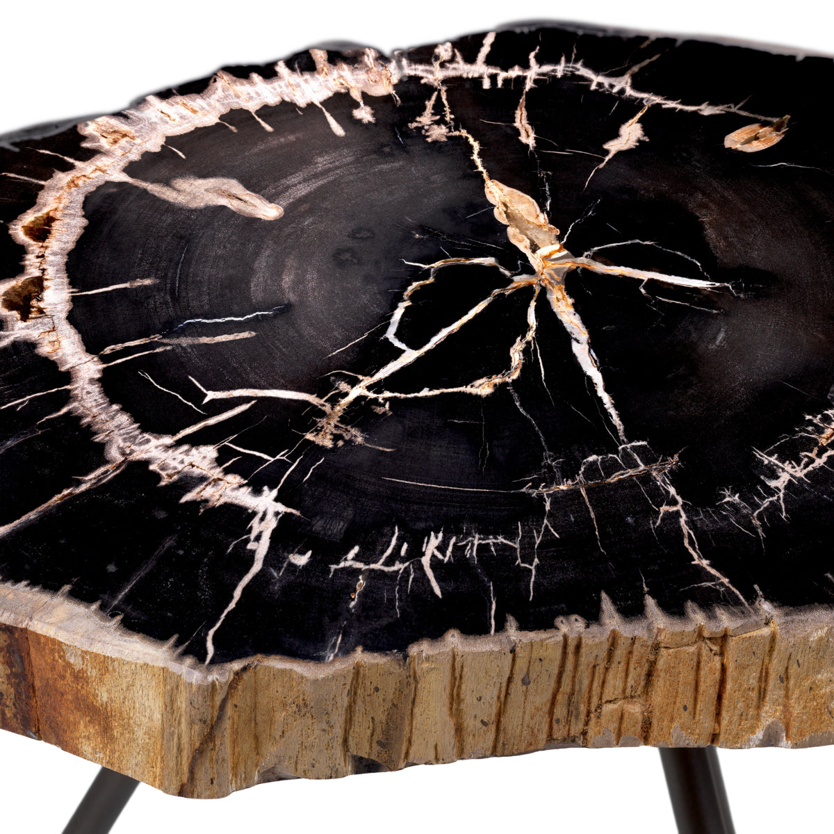 Petrified Coffee Table (3) De Soto | Cabothousefurniture.com