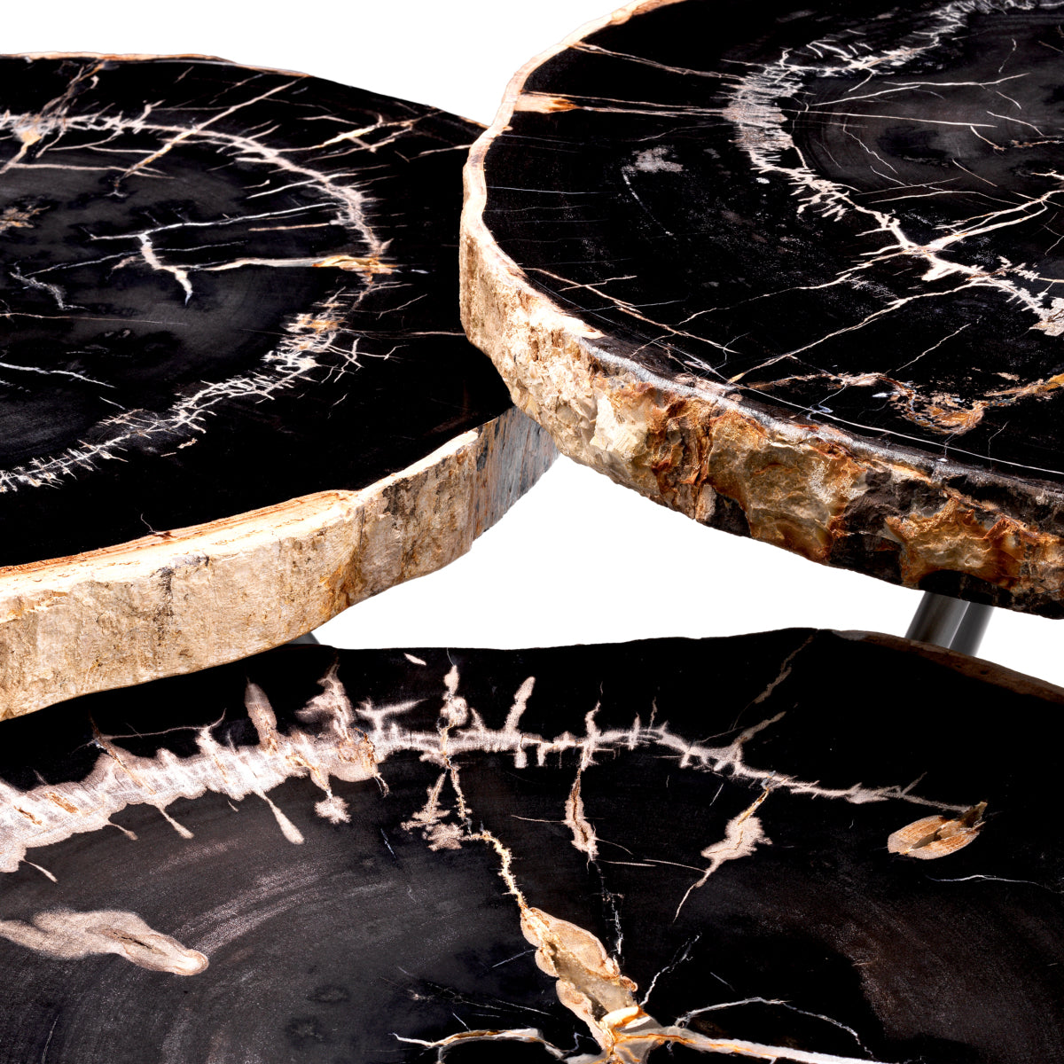Petrified Coffee Table (3) De Soto | Cabothousefurniture.com