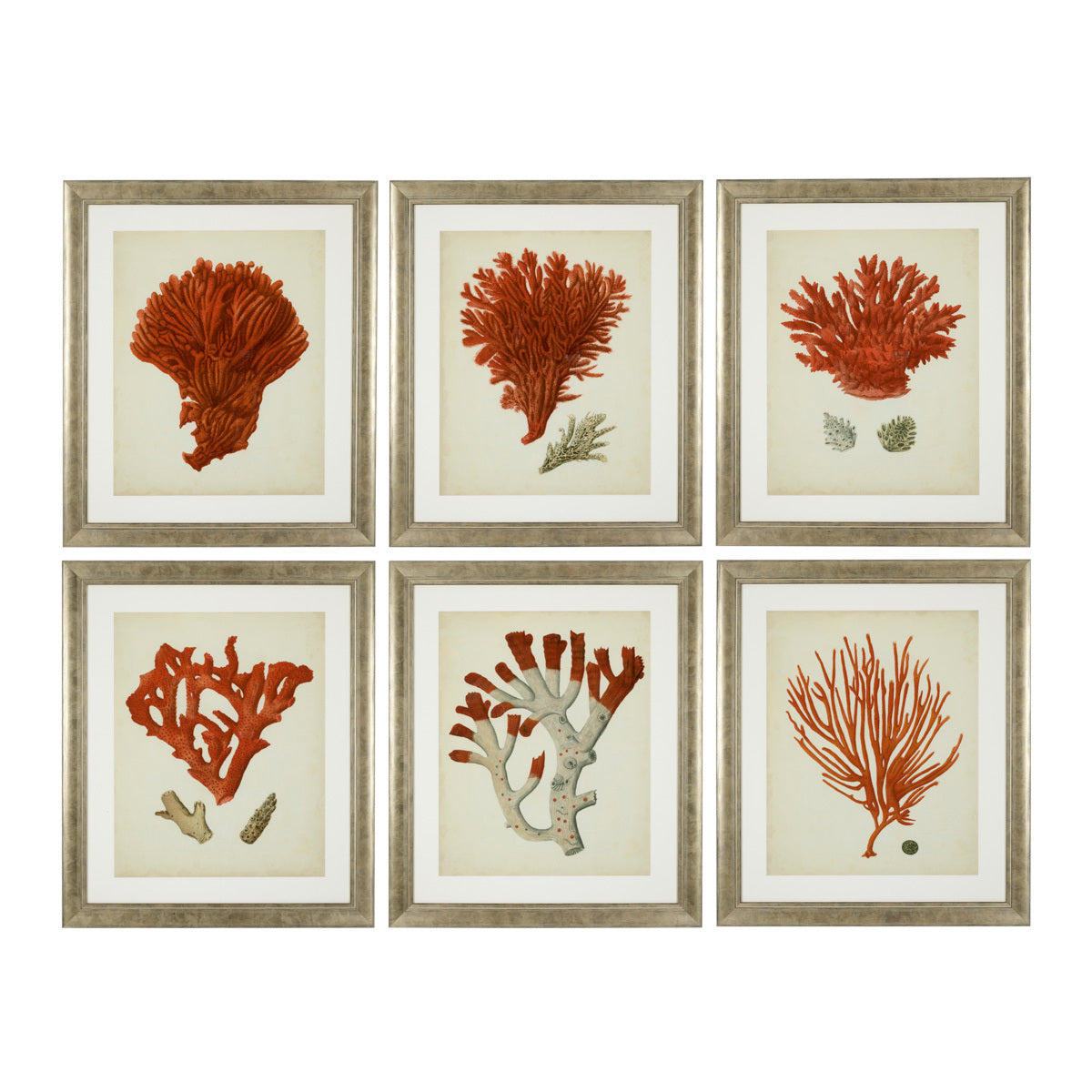 Silver Frame Prints (6) Red Corals | Cabothousefurniture.com