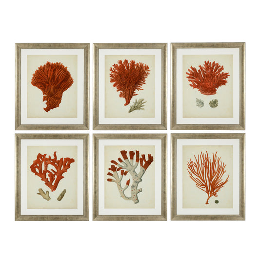 Silver Frame Prints (6) Red Corals | Cabothousefurniture.com