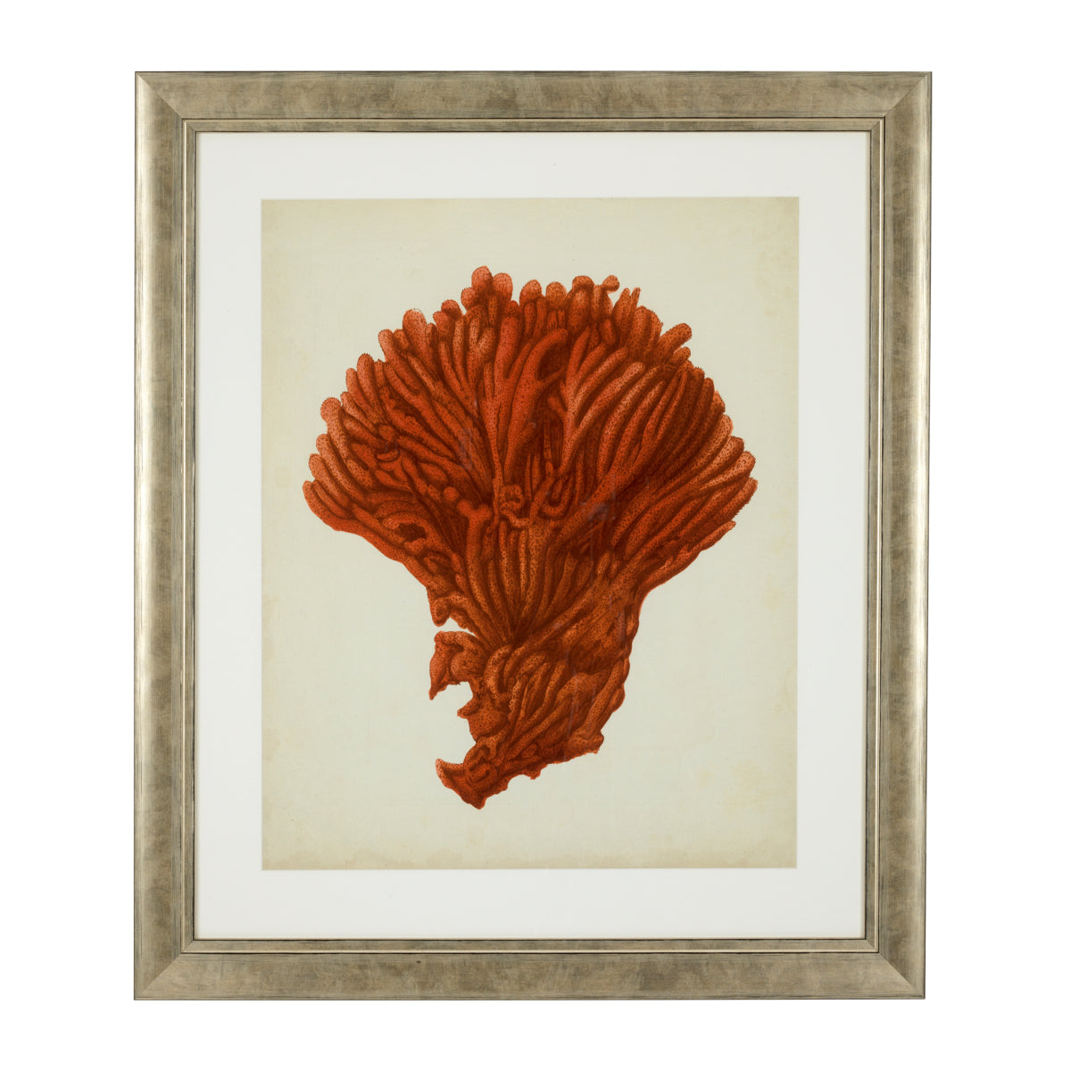 Silver Frame Prints (6) Red Corals | Cabothousefurniture.com