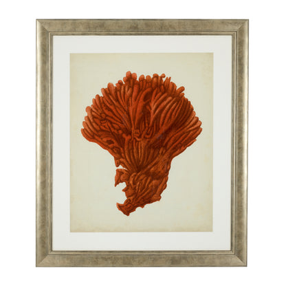 Silver Frame Prints (6) Red Corals | Cabothousefurniture.com