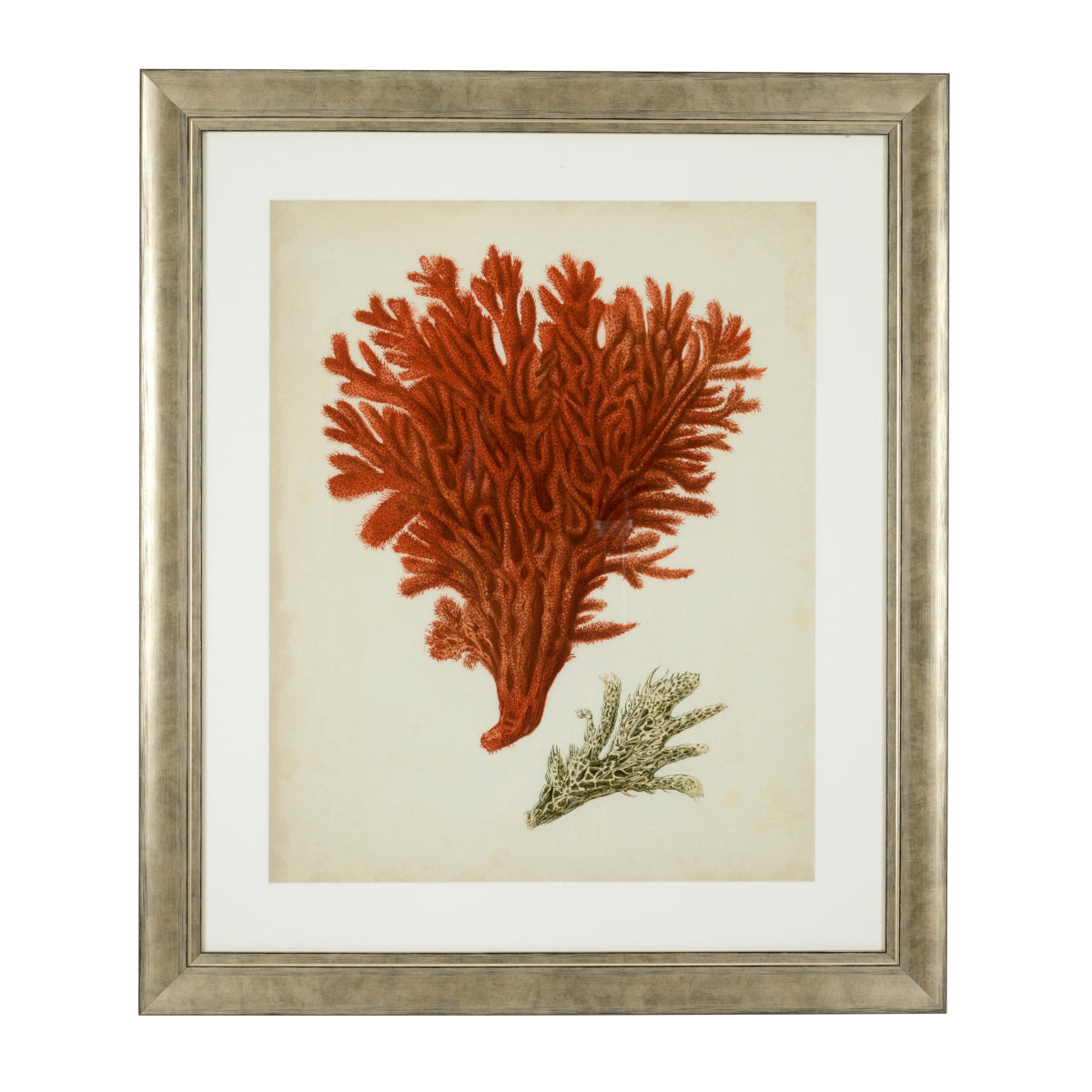 Silver Frame Prints (6) Red Corals | Cabothousefurniture.com
