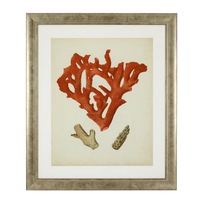 Silver Frame Prints (6) Red Corals | Cabothousefurniture.com