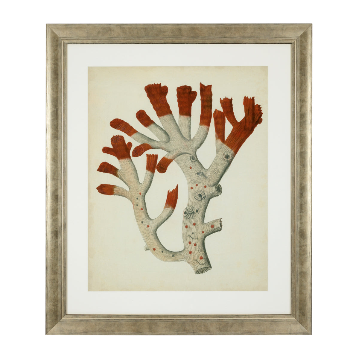 Silver Frame Prints (6) Red Corals | Cabothousefurniture.com