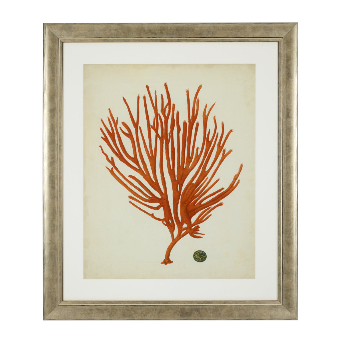 Silver Frame Prints (6) Red Corals | Cabothousefurniture.com