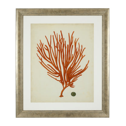 Silver Frame Prints (6) Red Corals | Cabothousefurniture.com