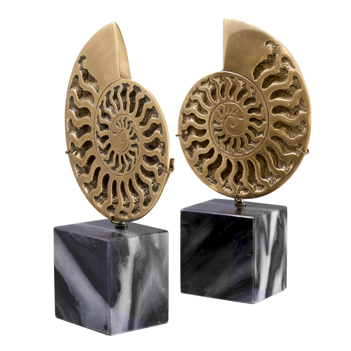 Vintage Object Set (2) Ammonite | Cabothousefurniture.com