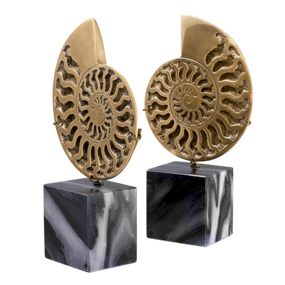 Vintage Object Set (2) Ammonite | Cabothousefurniture.com