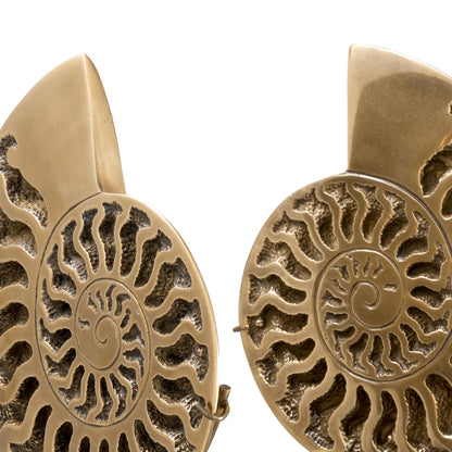 Vintage Object Set (2) Ammonite | Cabothousefurniture.com