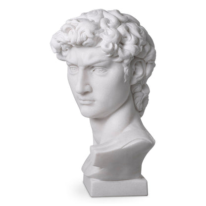 White Marble Head David | Cabothousefurniture.com