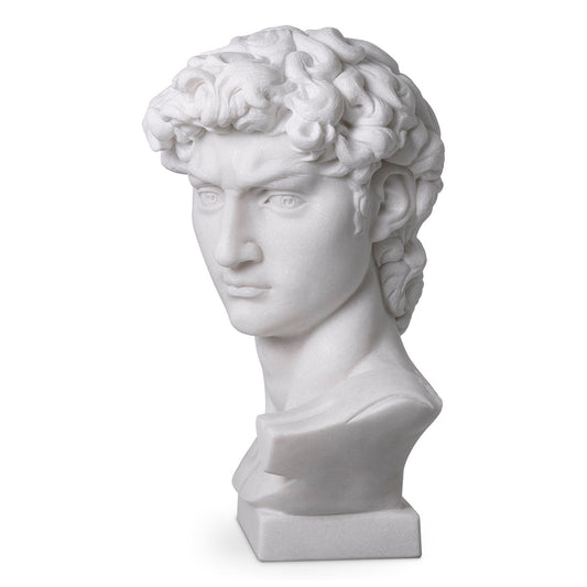 White Marble Head David | Cabothousefurniture.com