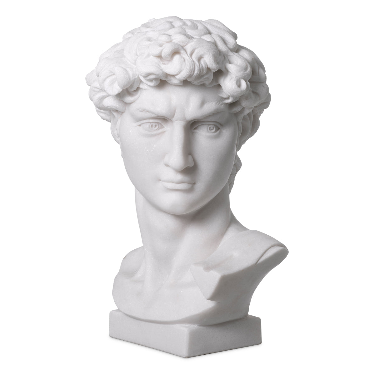 White Marble Head David | Cabothousefurniture.com