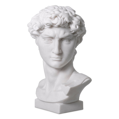 White Marble Head David | Cabothousefurniture.com