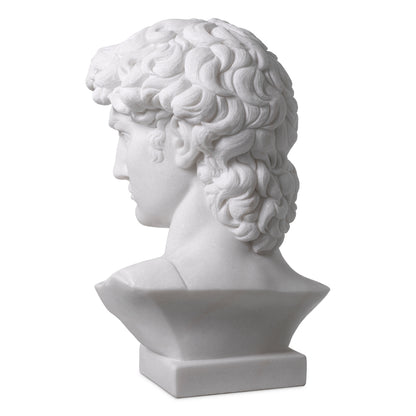White Marble Head David | Cabothousefurniture.com