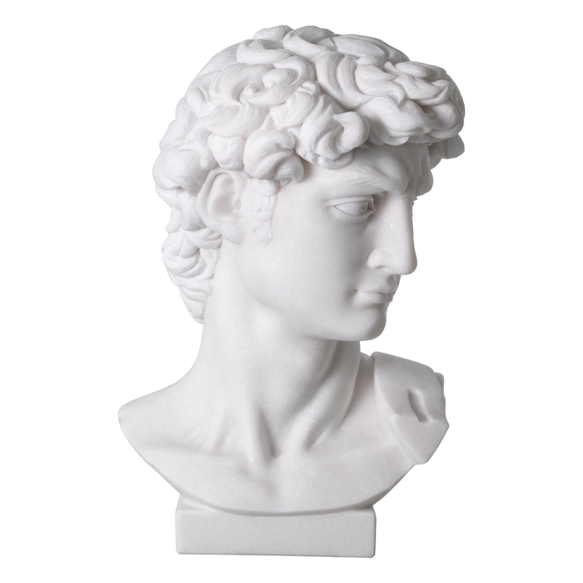 White Marble Head David | Cabothousefurniture.com