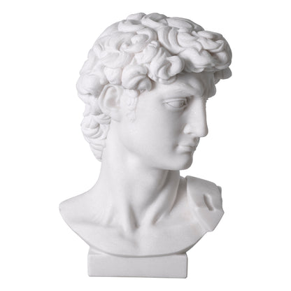 White Marble Head David | Cabothousefurniture.com