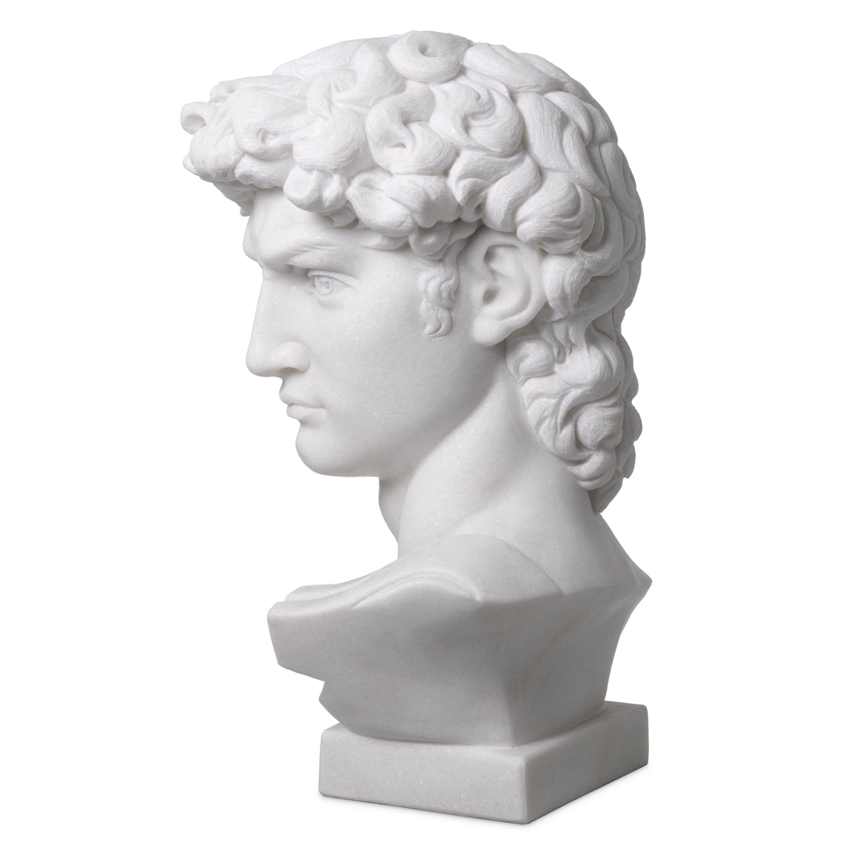 White Marble Head David | Cabothousefurniture.com
