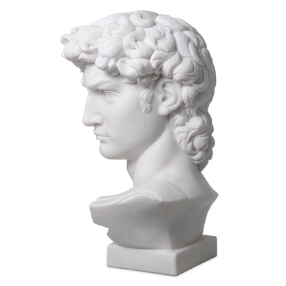 White Marble Head David | Cabothousefurniture.com
