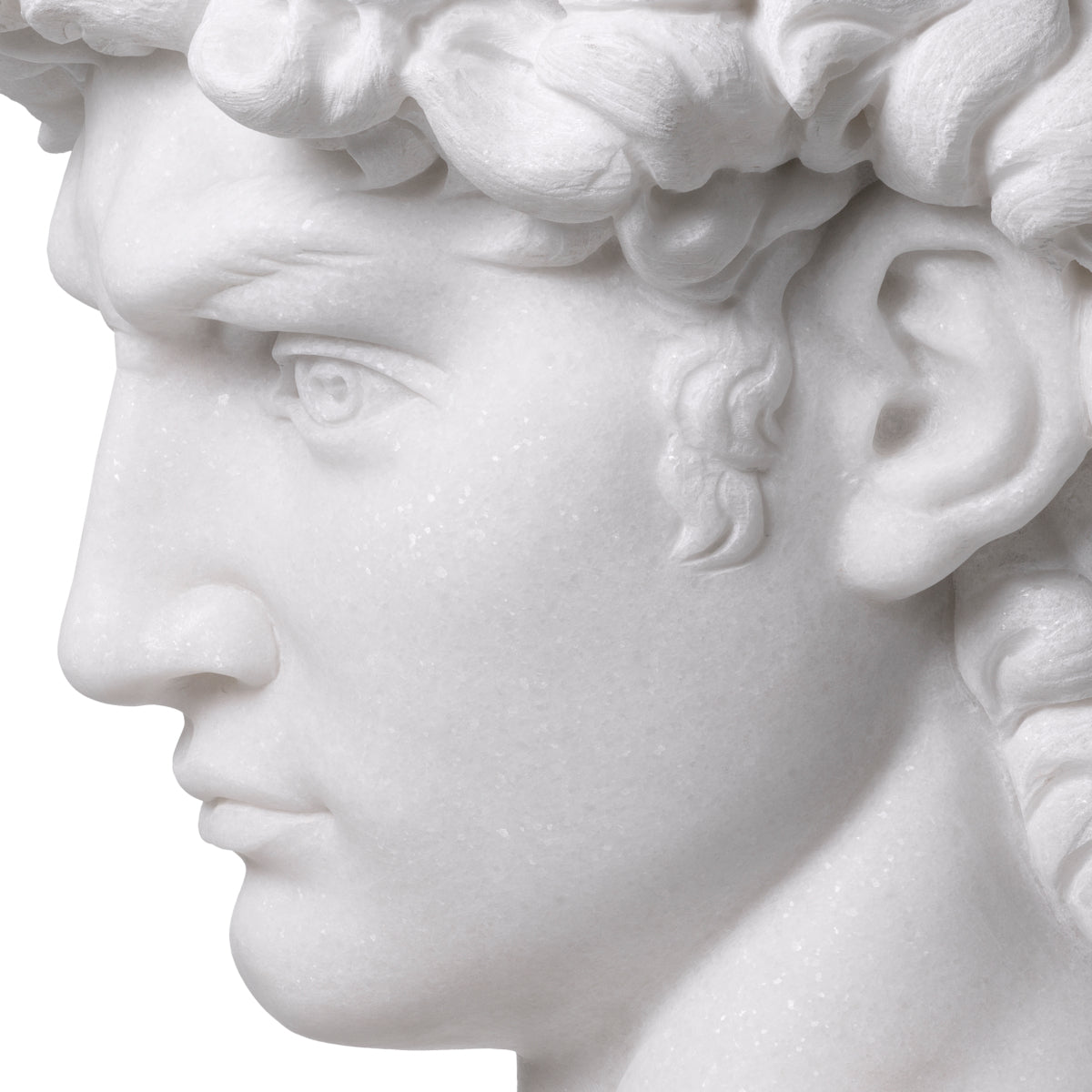 White Marble Head David | Cabothousefurniture.com