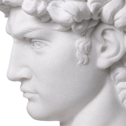 White Marble Head David | Cabothousefurniture.com