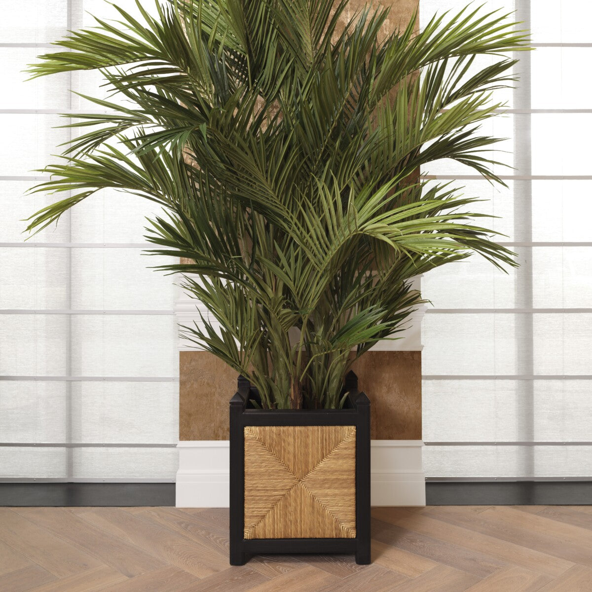 Aruba Planter